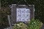 wpbd2590e2_0f.jpg